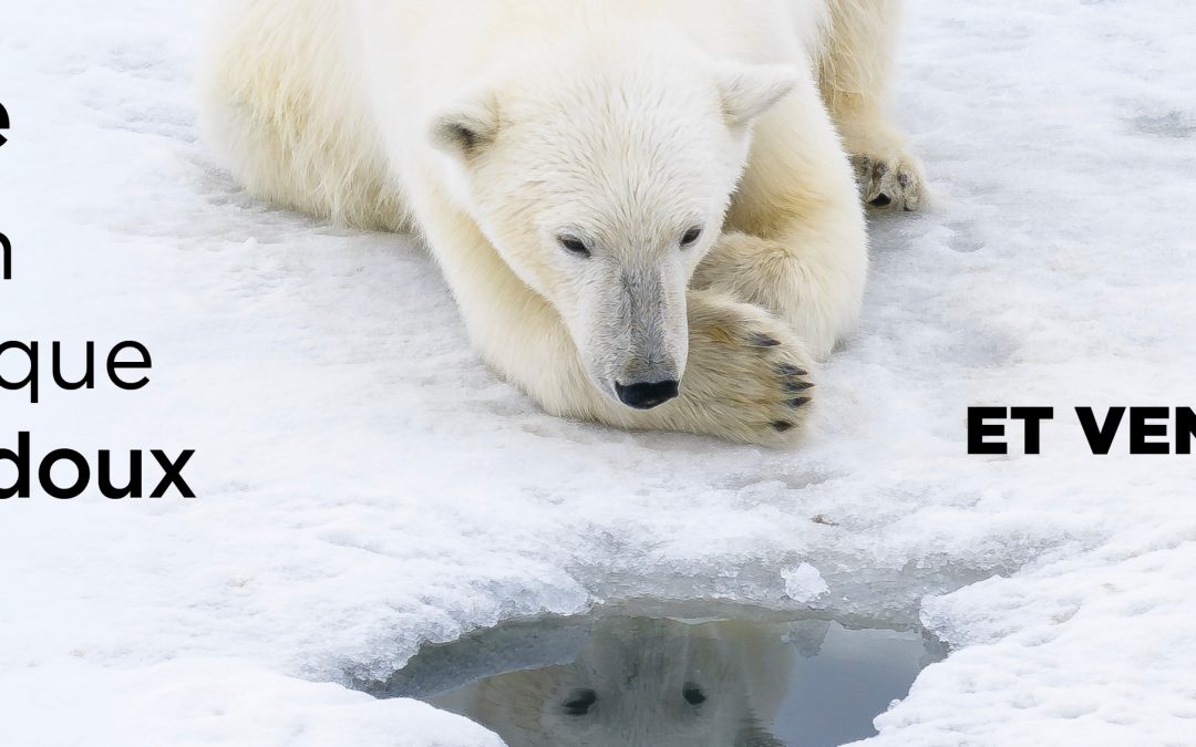 EXPOSITION SUBAQUATIQUE FLORIAN LEDOUX